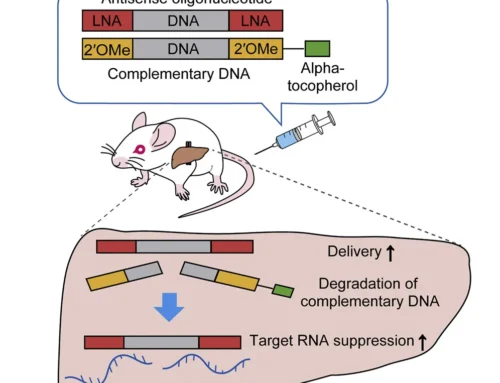 November 2020 Paper of the Month