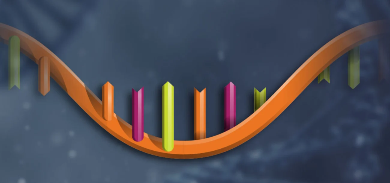 2019-11-15-ASO-1300×612 Antisense Oligonucleotides
