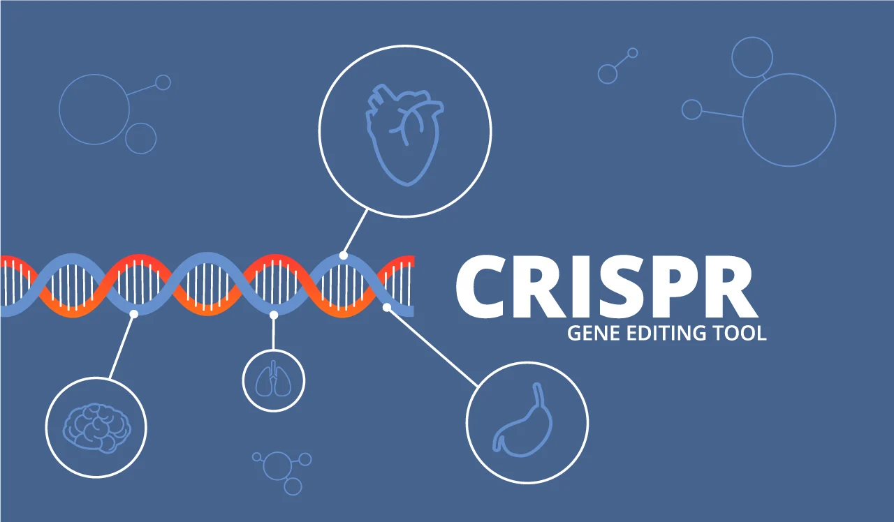 Uses of CRISPR