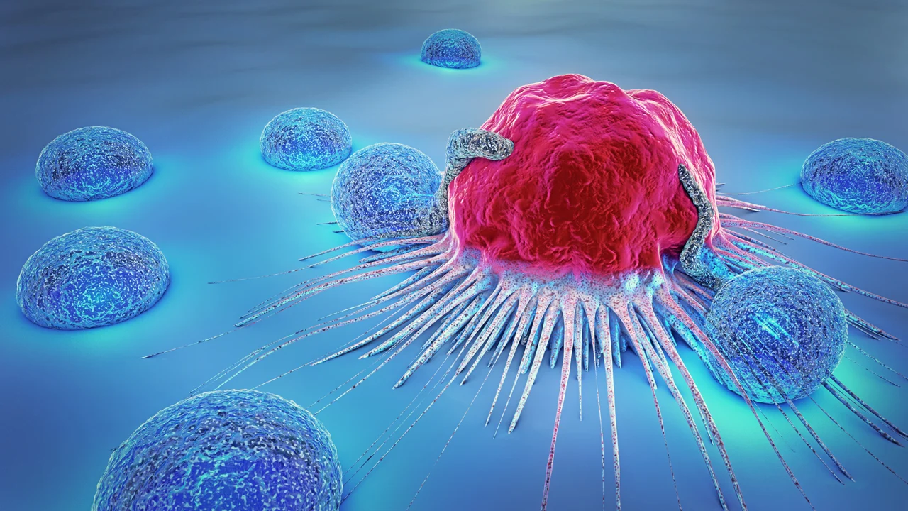Cancer mRNA Is Capable of Providing Solutions
