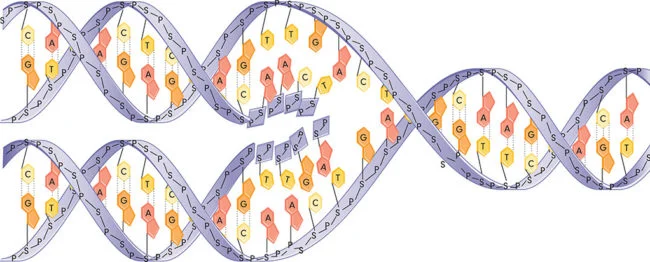 DNA-Webinar-1-650×262 Quantification Methods