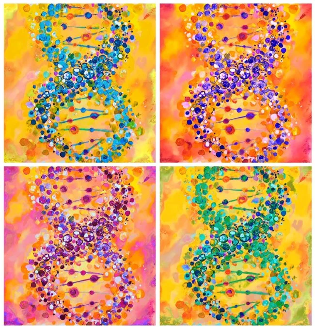 Patient Representative Webinar