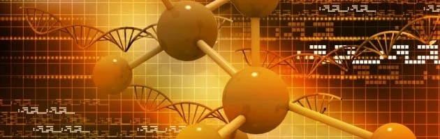 Macromolecular Therapeutics