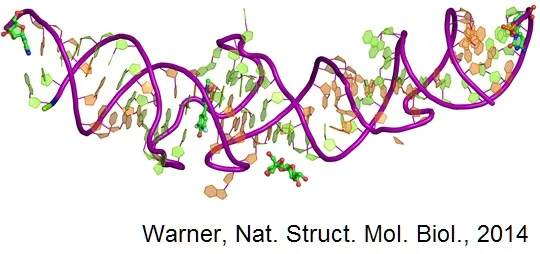 Targeted delivery using aptamers