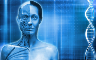 Centyrins Effectively and Safely Deliver siRNAs to Multiple Muscle Tissues