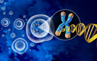 New CRISPR Technique