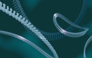 Biology and Potential of CircRNA