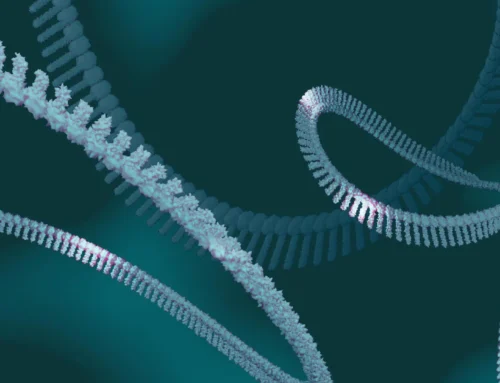 Investigating the Biology and Potential of CircRNA