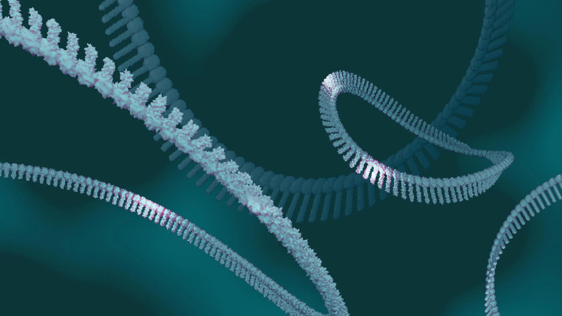 Biology and Potential of CircRNA