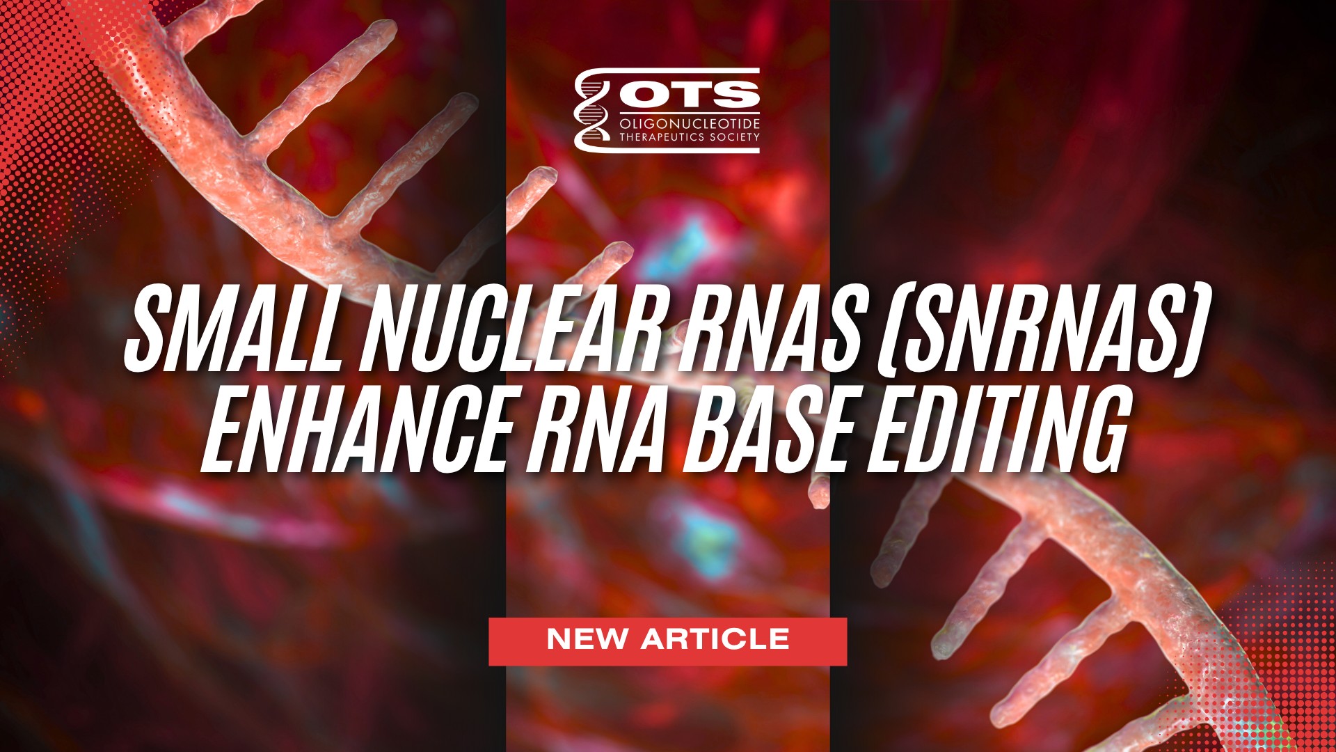 Small Nuclear RNAs